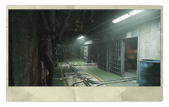 RELEASE THE PRISONERS